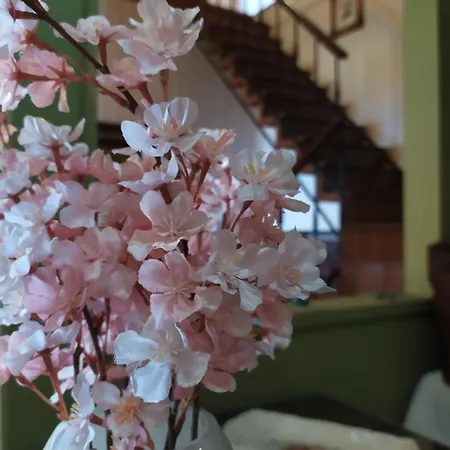 Agnadema House Feriehus